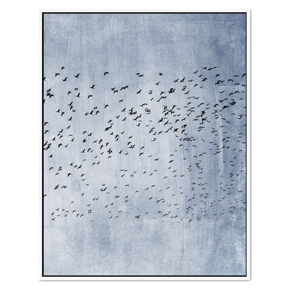 Fennel Loop Bird Canvas Wall Art — gallery image 50