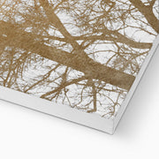 Cedar Axis Bird Canvas Wall Art — gallery image 14