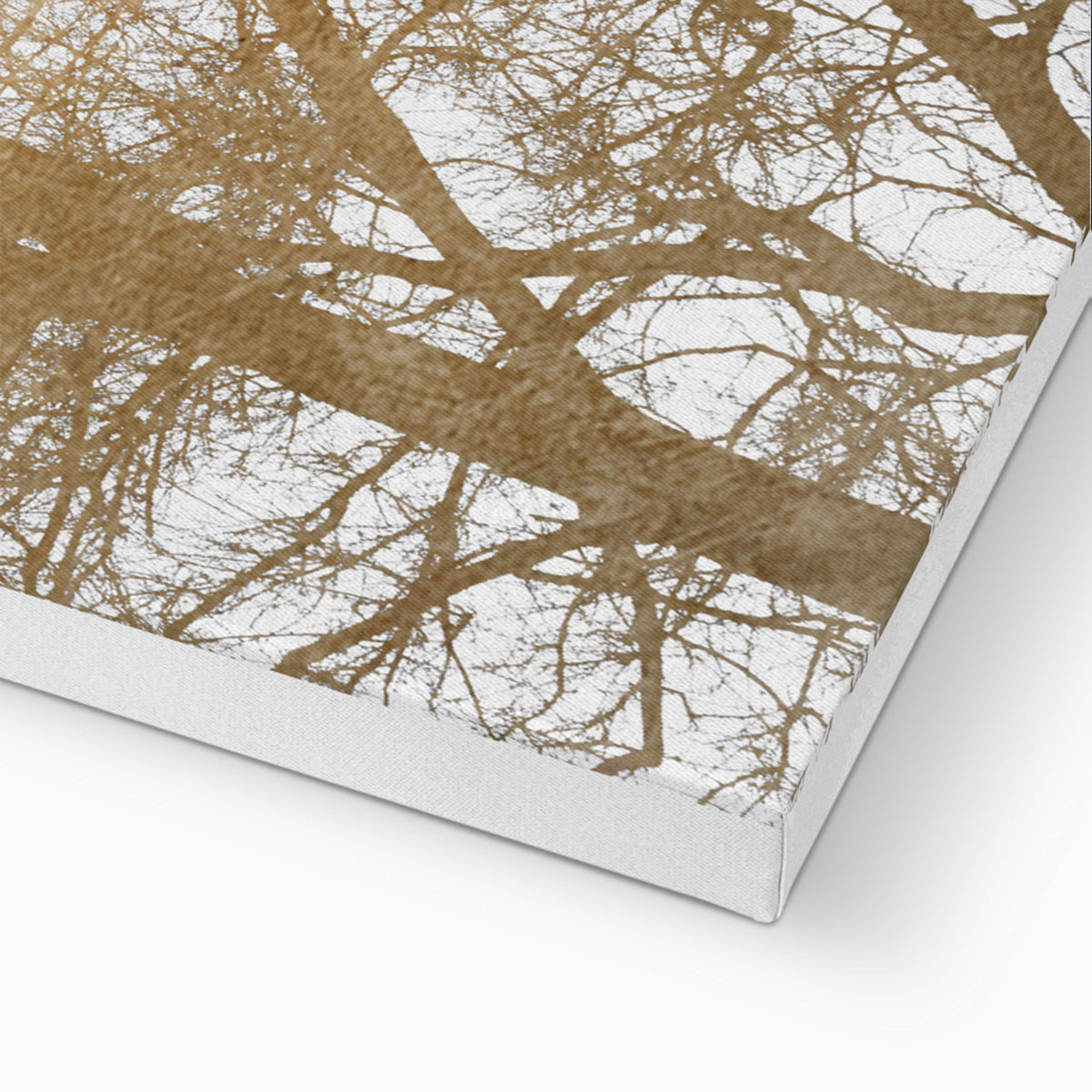 Cedar Axis Bird Canvas Wall Art — gallery image 14