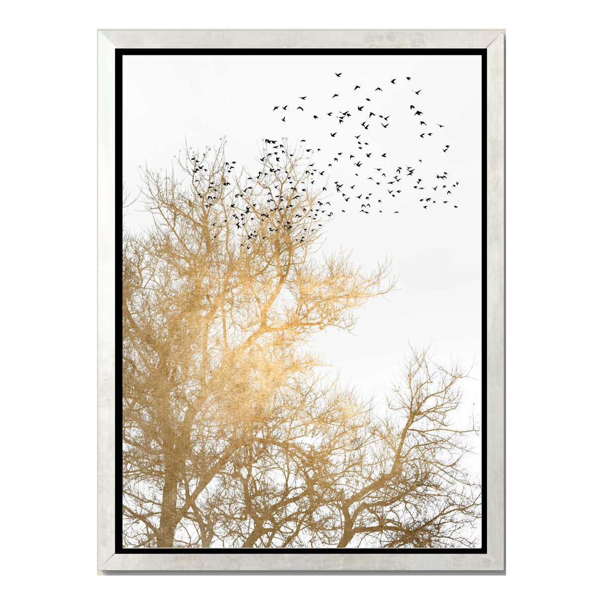 Cedar Axis Bird Canvas Wall Art — gallery image 39