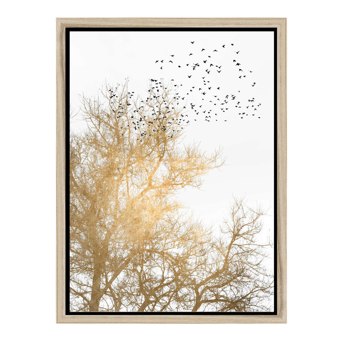 Cedar Axis Bird Canvas Wall Art — gallery image 35