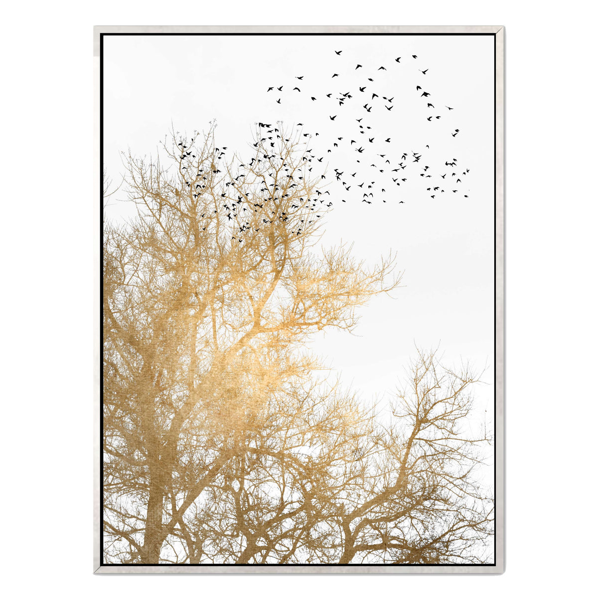 Cedar Axis Bird Canvas Wall Art — gallery image 42