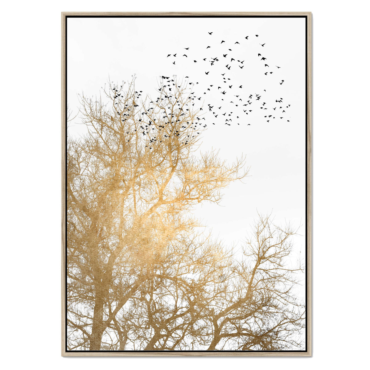 Cedar Axis Bird Canvas Wall Art — gallery image 34