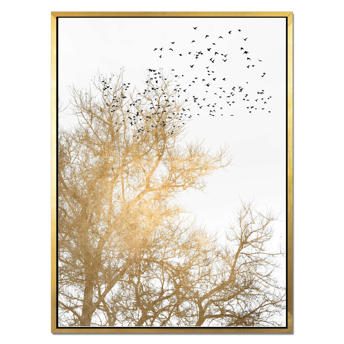 Cedar Axis Bird Canvas Wall Art — gallery image 32