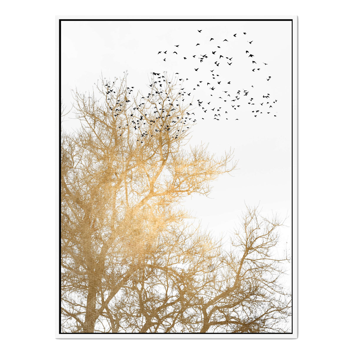 Cedar Axis Bird Canvas Wall Art — gallery image 46
