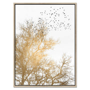 Cedar Axis Bird Canvas Wall Art — gallery image 37