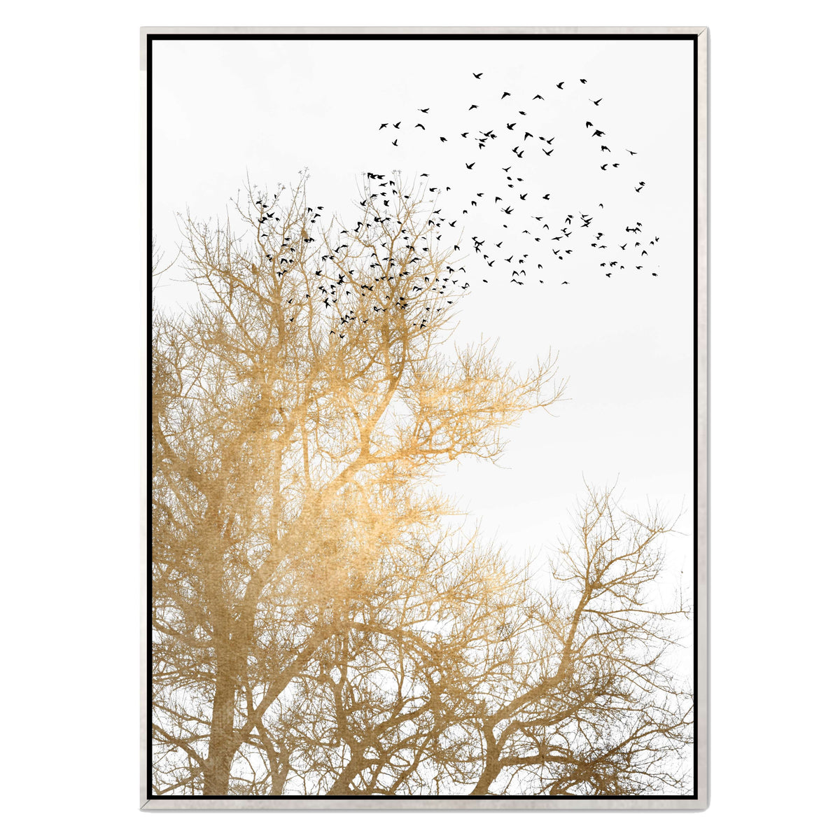 Cedar Axis Bird Canvas Wall Art — gallery image 51