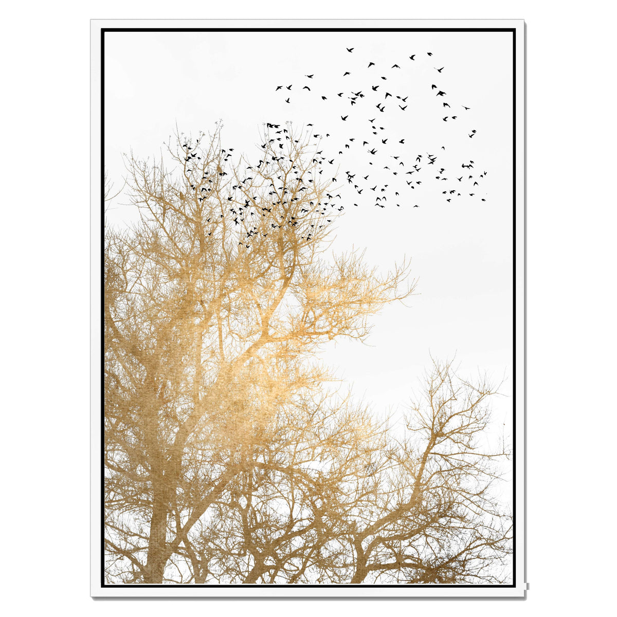 Cedar Axis Bird Canvas Wall Art — gallery image 53