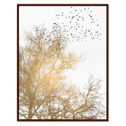 Cedar Axis Bird Canvas Wall Art — gallery image 23