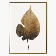 Hawthorn Axis Botanical Canvas Wall Art — gallery image 1