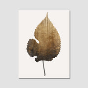 Hawthorn Axis Botanical Canvas Wall Art — gallery image 13