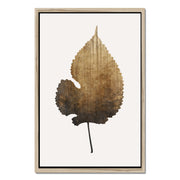 Hawthorn Axis Botanical Canvas Wall Art — gallery image 33