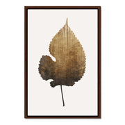 Hawthorn Axis Botanical Canvas Wall Art — gallery image 25