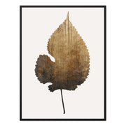 Hawthorn Axis Botanical Canvas Wall Art — gallery image 21