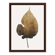Hawthorn Axis Botanical Canvas Wall Art — gallery image 24