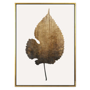 Hawthorn Axis Botanical Canvas Wall Art — gallery image 49
