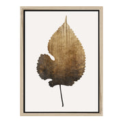 Hawthorn Axis Botanical Canvas Wall Art — gallery image 51