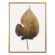 Hawthorn Axis Botanical Canvas Wall Art — gallery image 31