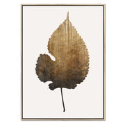 Hawthorn Axis Botanical Canvas Wall Art — gallery image 50