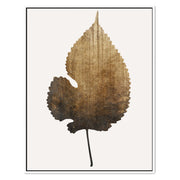 Hawthorn Axis Botanical Canvas Wall Art — gallery image 42