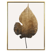 Hawthorn Axis Botanical Canvas Wall Art — gallery image 48