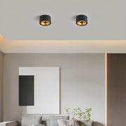 Hawick Loop Aluminum Ceiling Light — gallery image 4