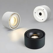 Hawick Loop Aluminum Ceiling Light — gallery image 10