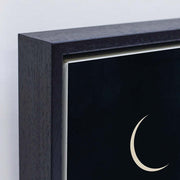 Elmwood Loop Cat Canvas Wall Art — gallery image 14
