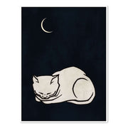 Elmwood Loop Cat Canvas Wall Art — gallery image 45