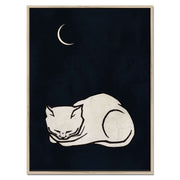Elmwood Loop Cat Canvas Wall Art — gallery image 36