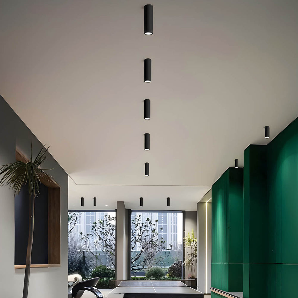 
Bayberry Loop Aluminum Ceiling Light — photo 4