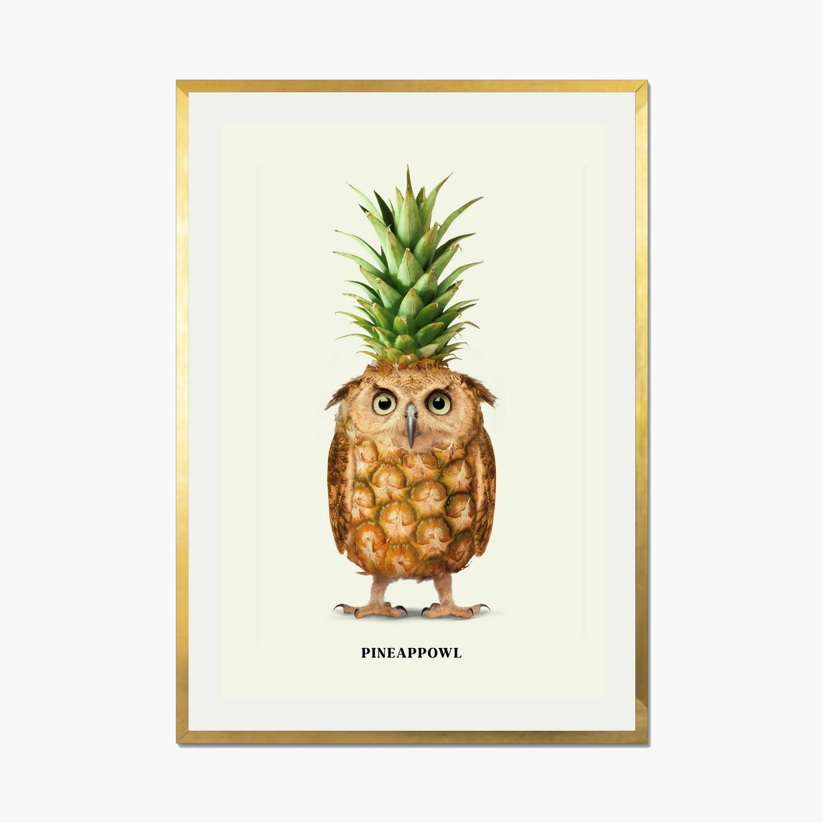 Fernwood Loop Owl Wall Art Print — gallery image 1