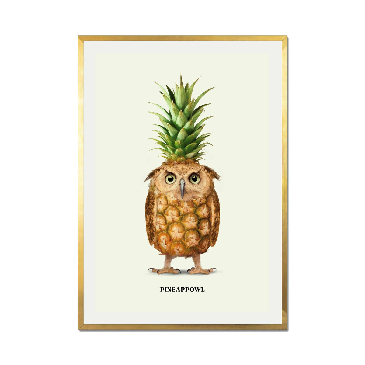 Fernwood Loop Owl Wall Art Print — gallery image 24