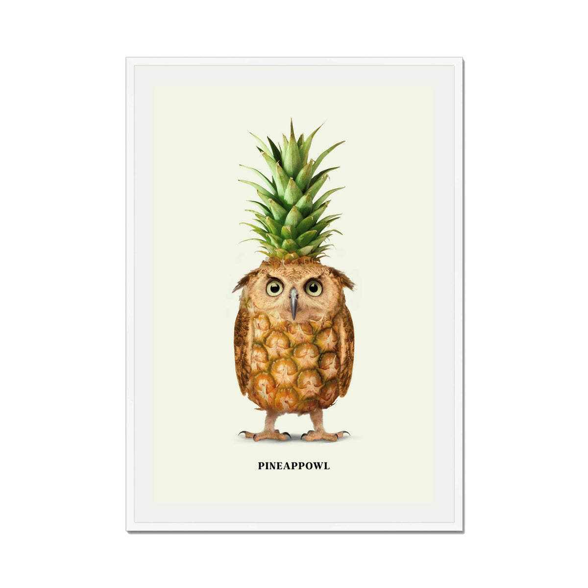 Fernwood Loop Owl Wall Art Print — gallery image 67