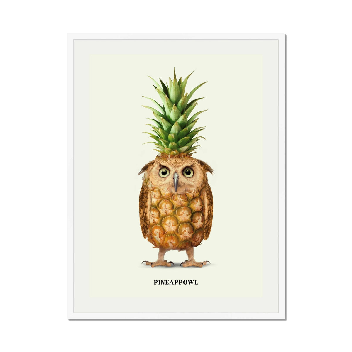 Fernwood Loop Owl Wall Art Print — gallery image 66