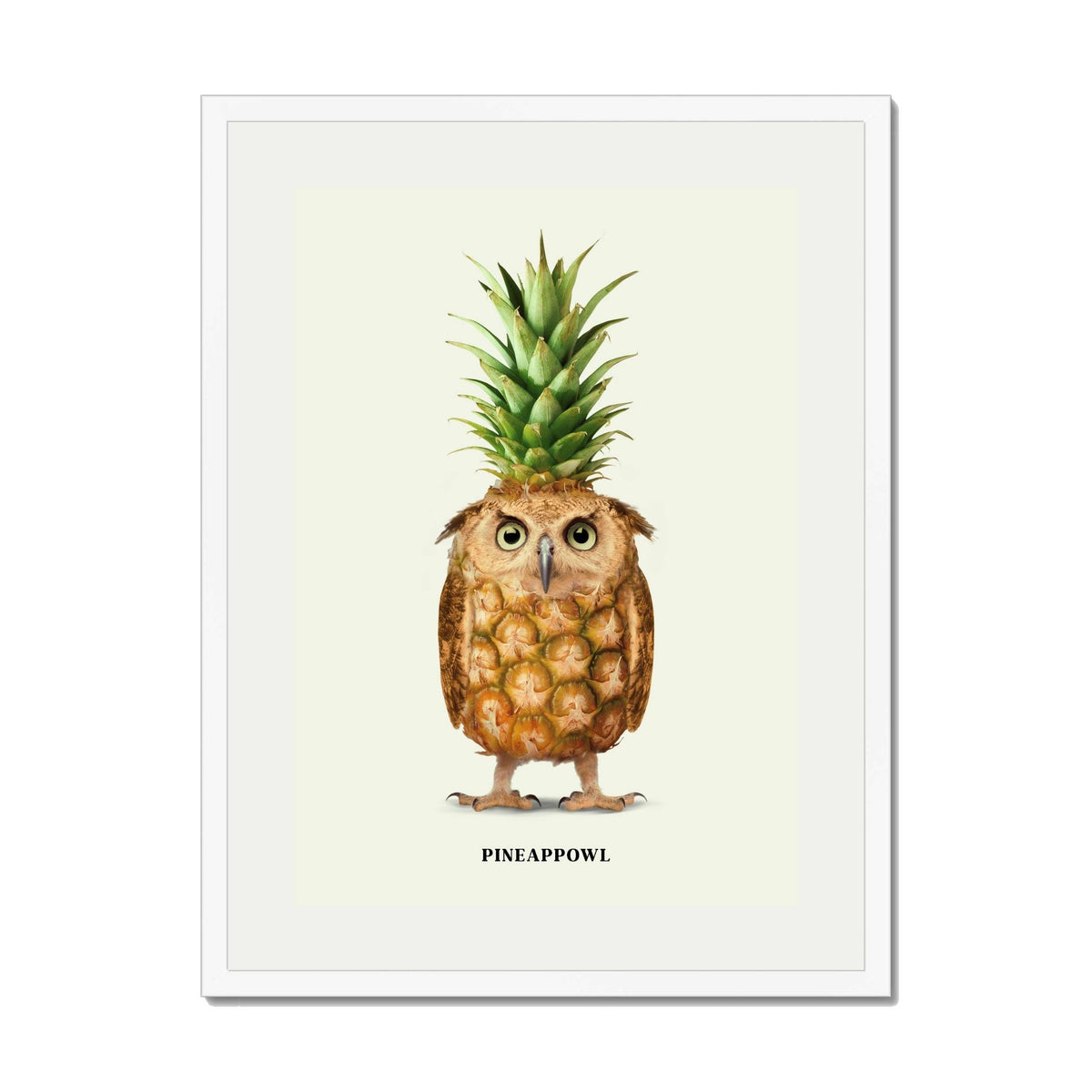 Fernwood Loop Owl Wall Art Print — gallery image 65