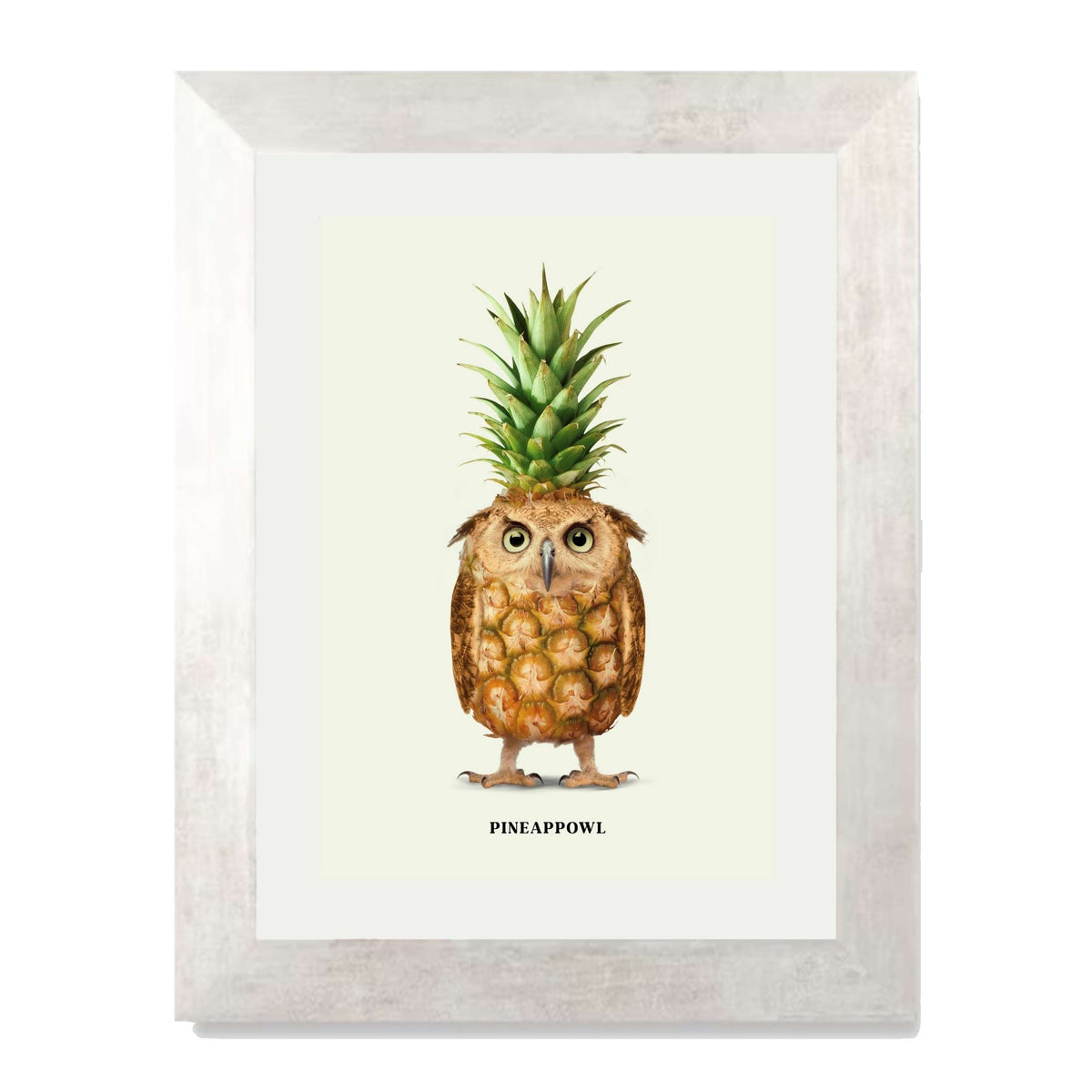 Fernwood Loop Owl Wall Art Print — gallery image 58