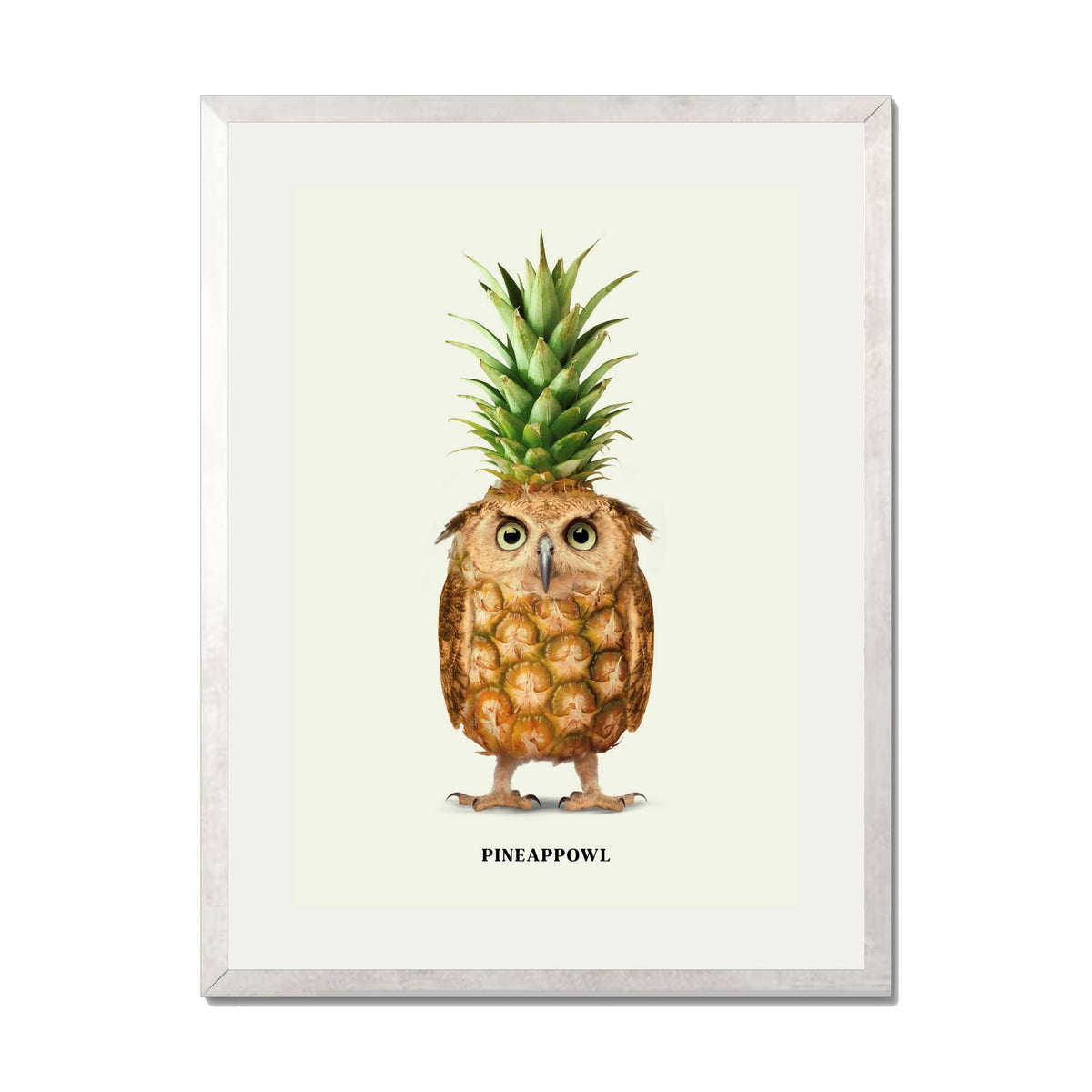 Fernwood Loop Owl Wall Art Print — gallery image 60
