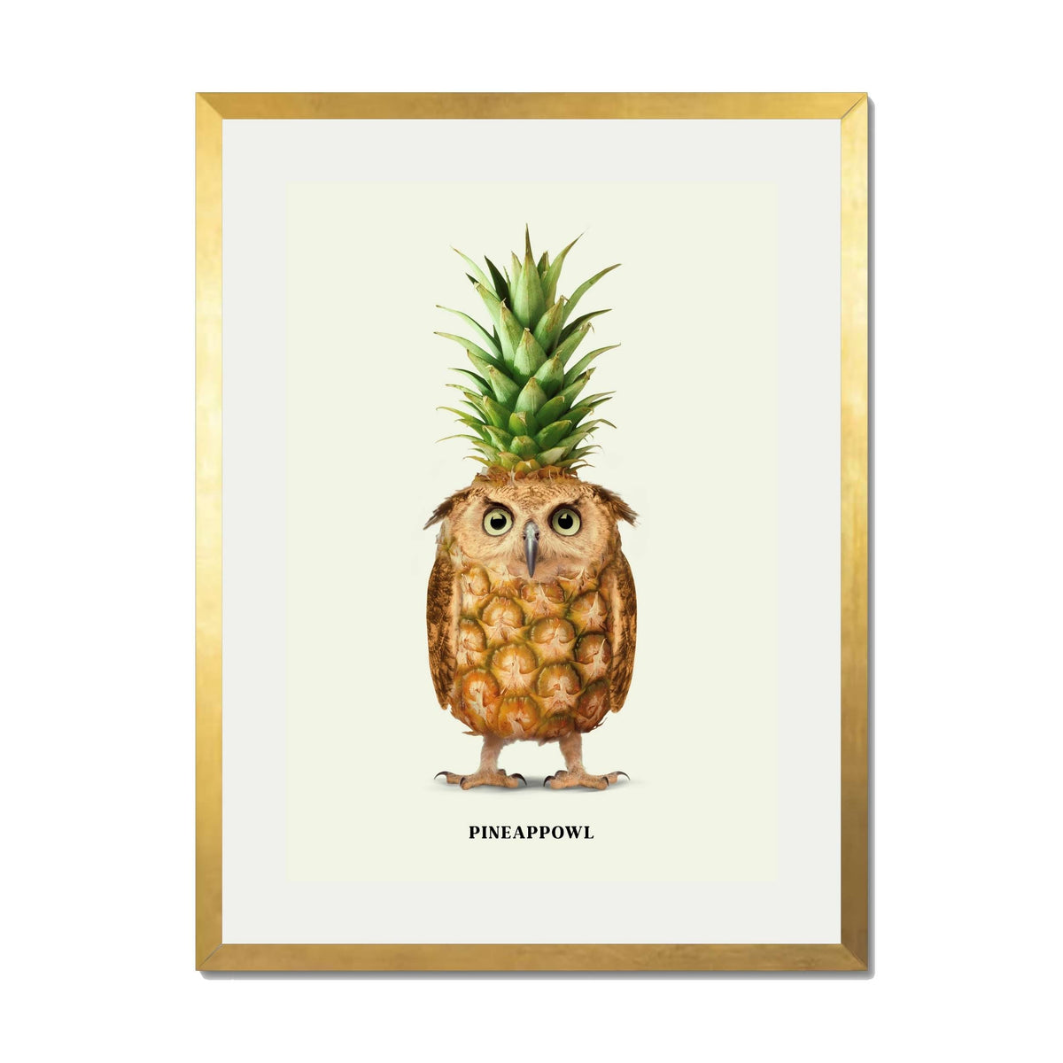 Fernwood Loop Owl Wall Art Print — gallery image 45