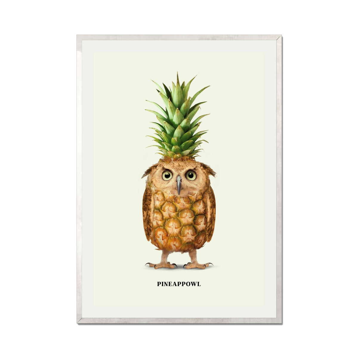 Fernwood Loop Owl Wall Art Print — gallery image 62