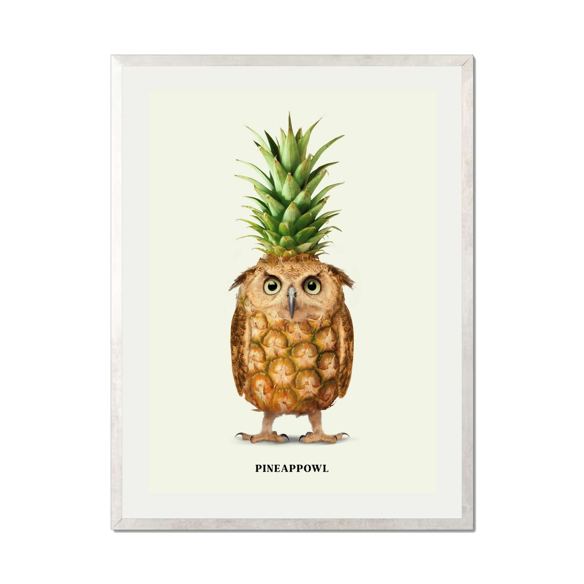 Fernwood Loop Owl Wall Art Print — gallery image 61