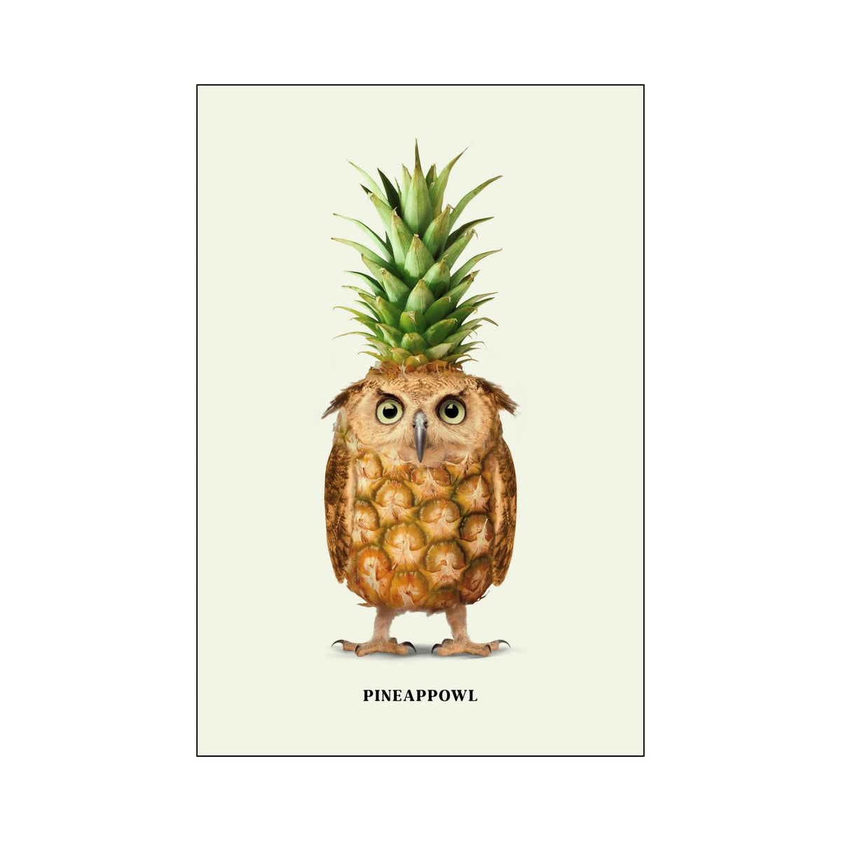 Fernwood Loop Owl Wall Art Print — gallery image 68