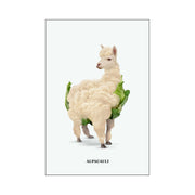 Greenwood Loop Alpaca Wall Art Print — gallery image 18