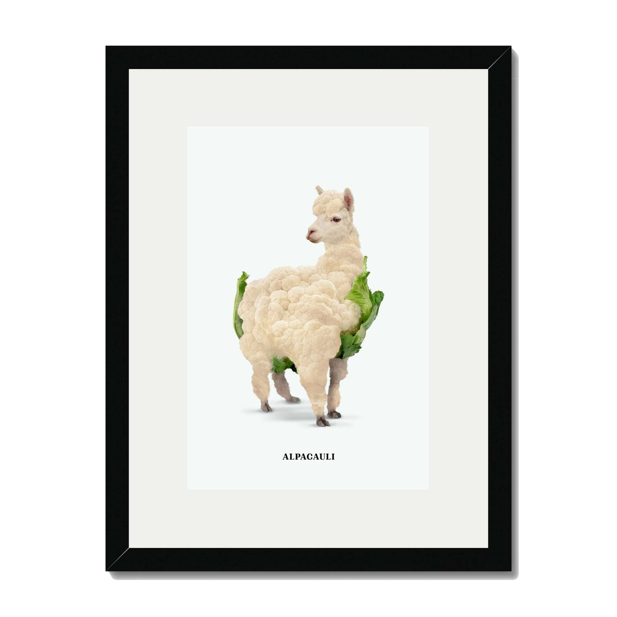 Greenwood Loop Alpaca Wall Art Print — gallery image 22