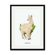 Greenwood Loop Alpaca Wall Art Print — gallery image 23