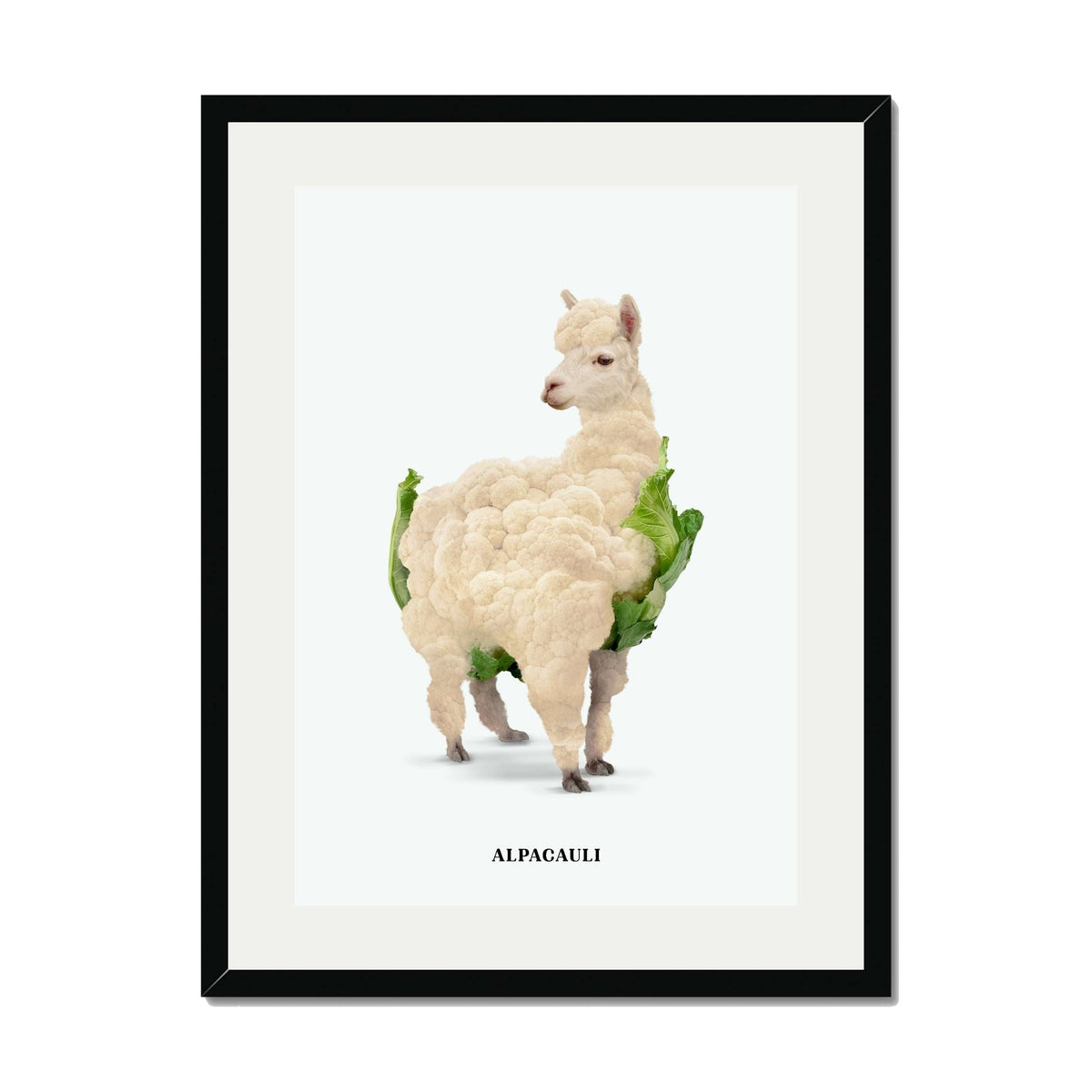 Greenwood Loop Alpaca Wall Art Print — gallery image 23