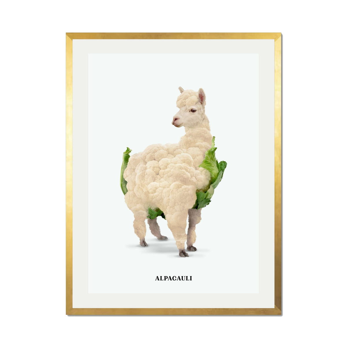Greenwood Loop Alpaca Wall Art Print — gallery image 37