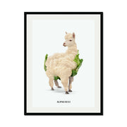 Greenwood Loop Alpaca Wall Art Print — gallery image 24