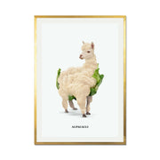Greenwood Loop Alpaca Wall Art Print — gallery image 38