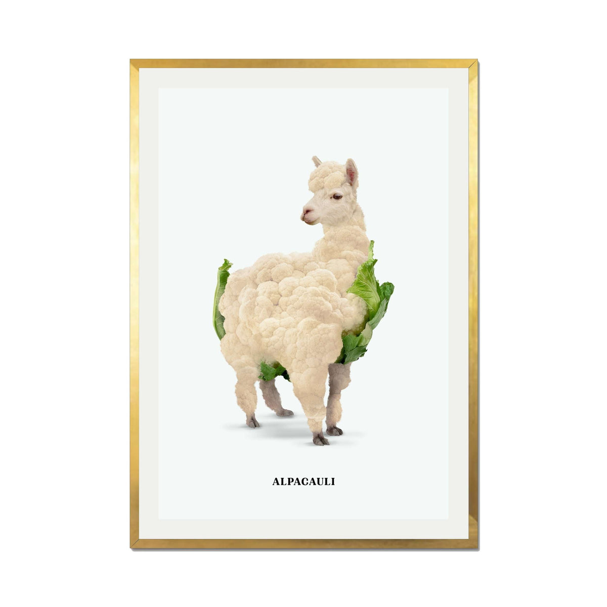 Greenwood Loop Alpaca Wall Art Print — gallery image 38